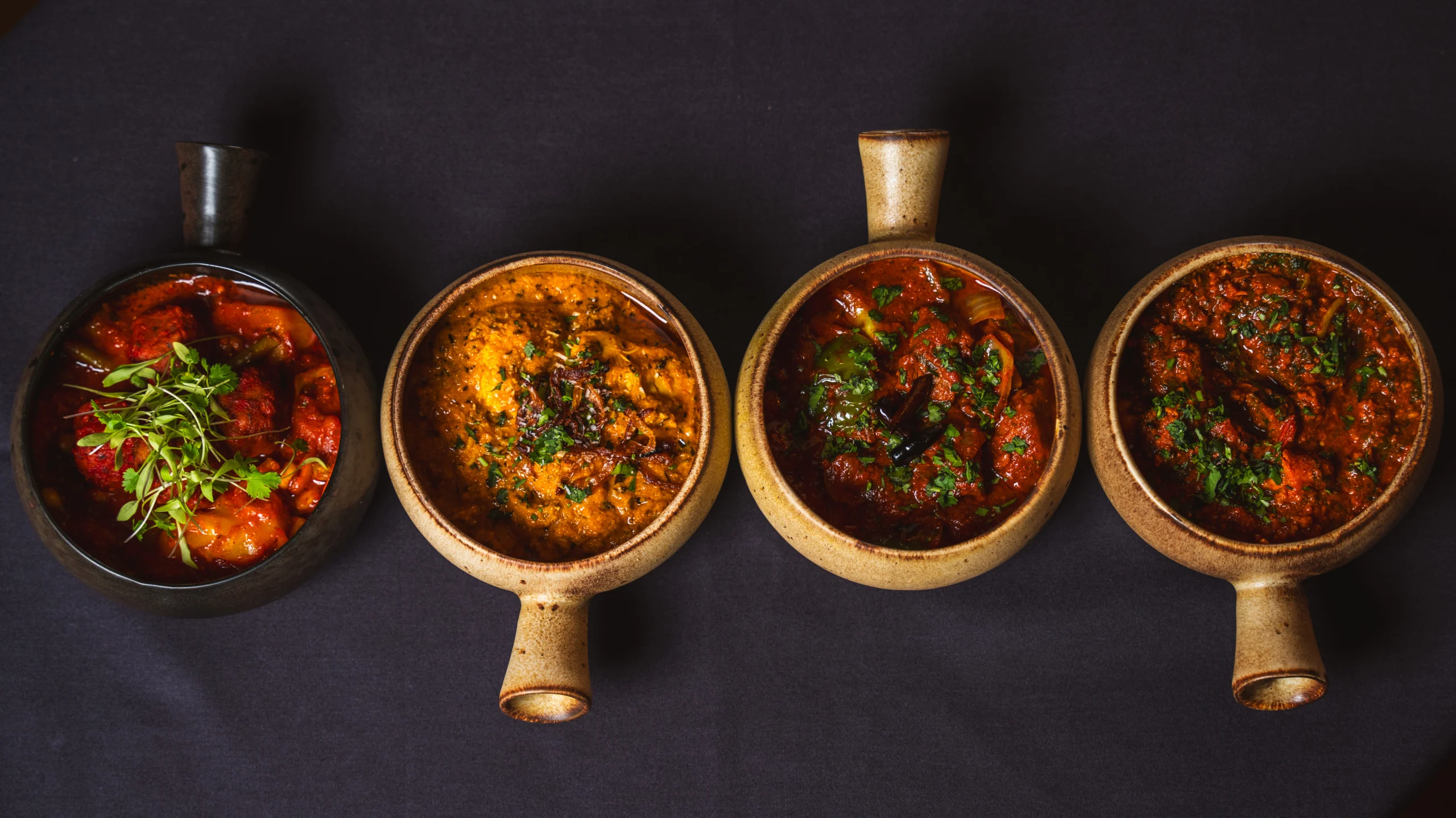 Curry House Food 4 food dishes